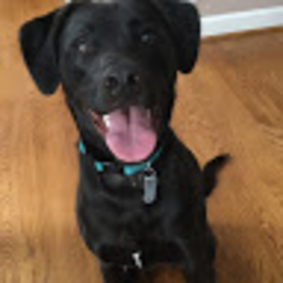 Meet your Posher, Joshua - Picture 1 of 1